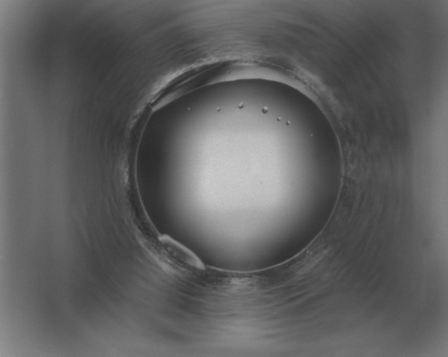 X0000062670060200512281750