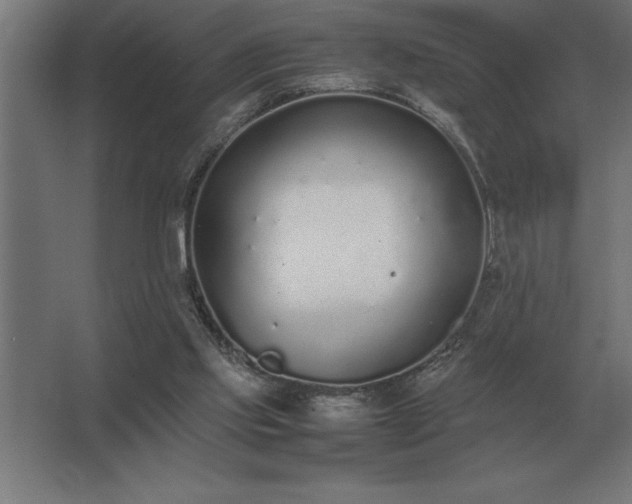 X0000062670061200512281750