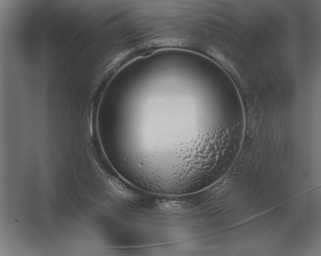 X0000062670062200512281750