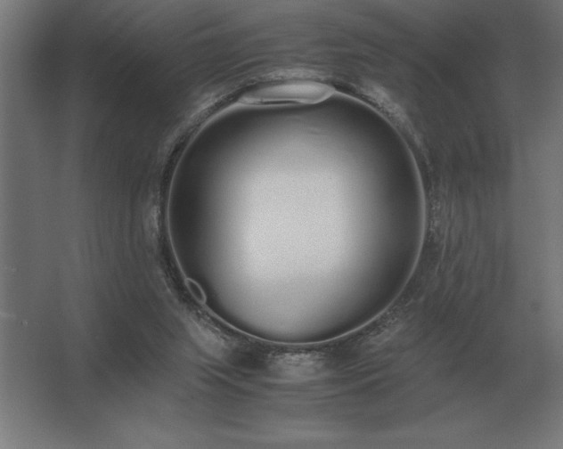 X0000062670063200512281750