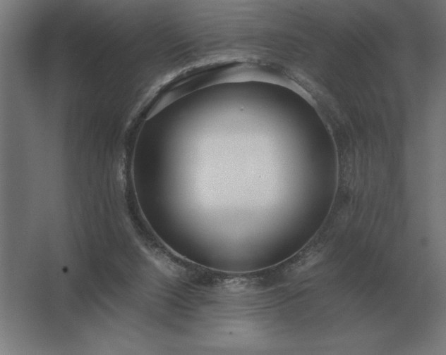 X0000062670064200512281750