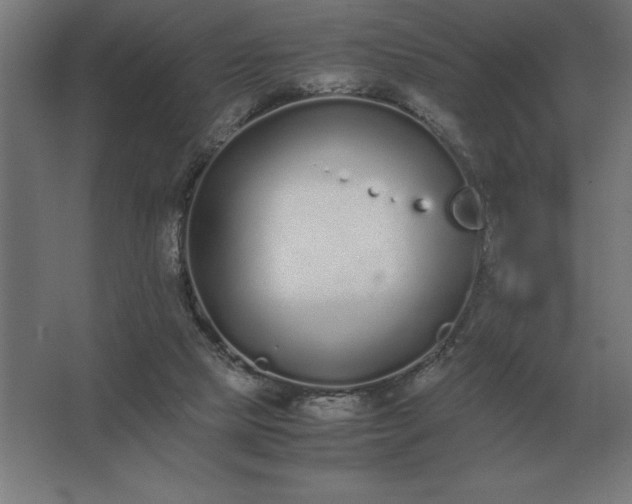 X0000062670065200512281750