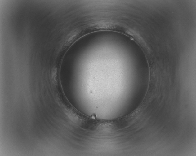 X0000062670066200512281750