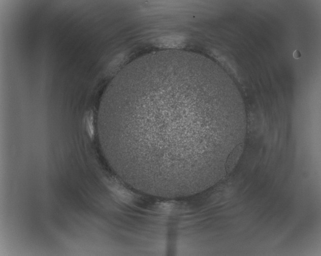 X0000062670069200512281750