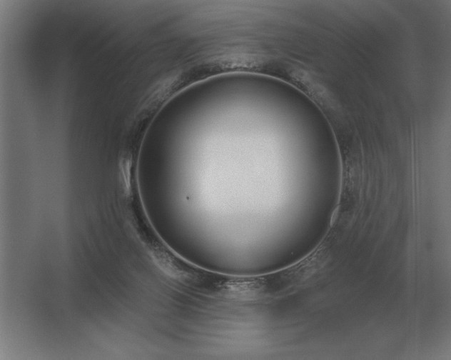 X0000062670070200512281750