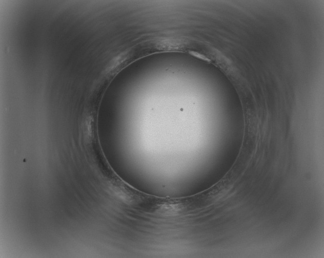 X0000062670071200512281750