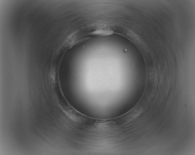 X0000062670072200512281750