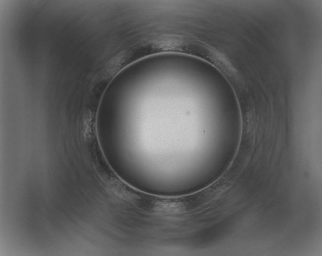 X0000062670073200512281750