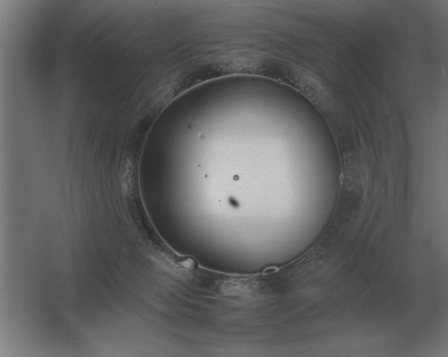 X0000062670077200512281750