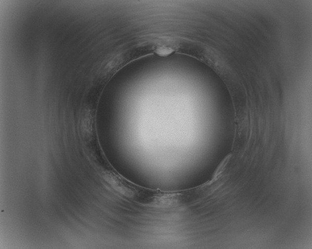 X0000062670078200512281750