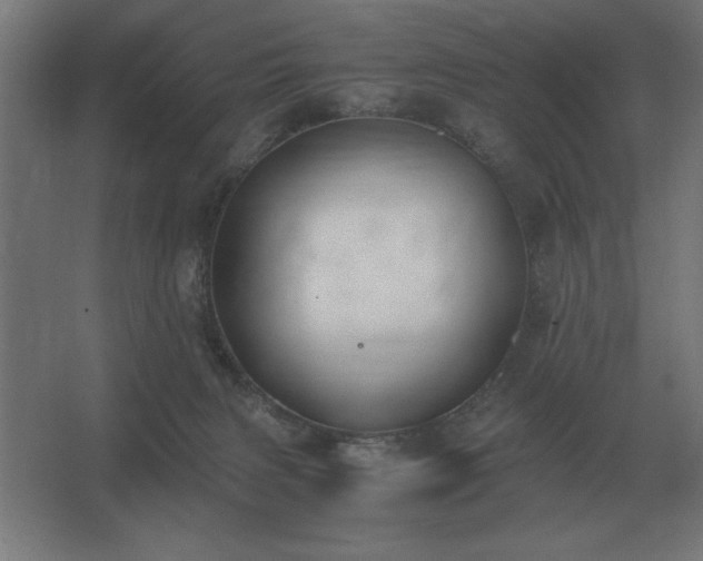 X0000062670079200512281750