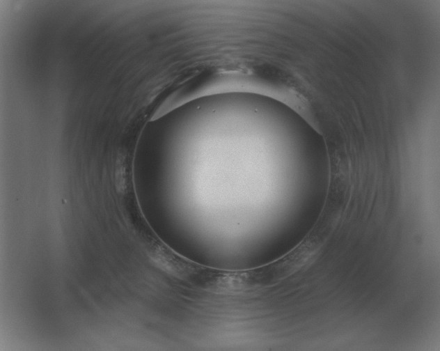 X0000062670080200512281750