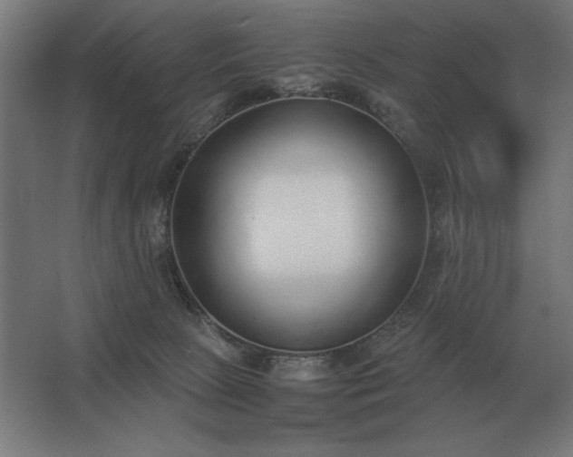 X0000062670081200512281750