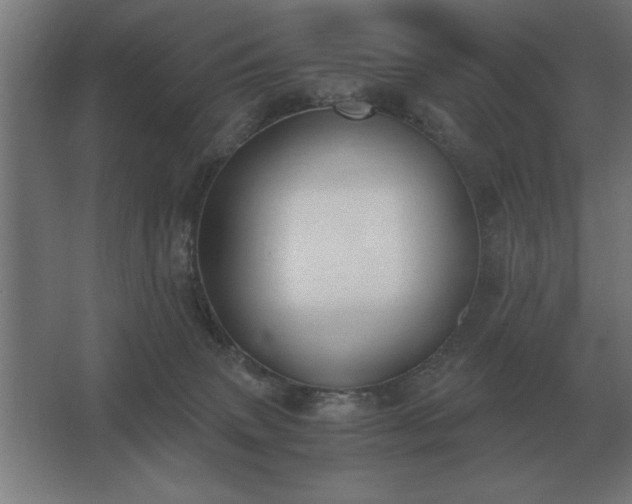 X0000062670083200512281750