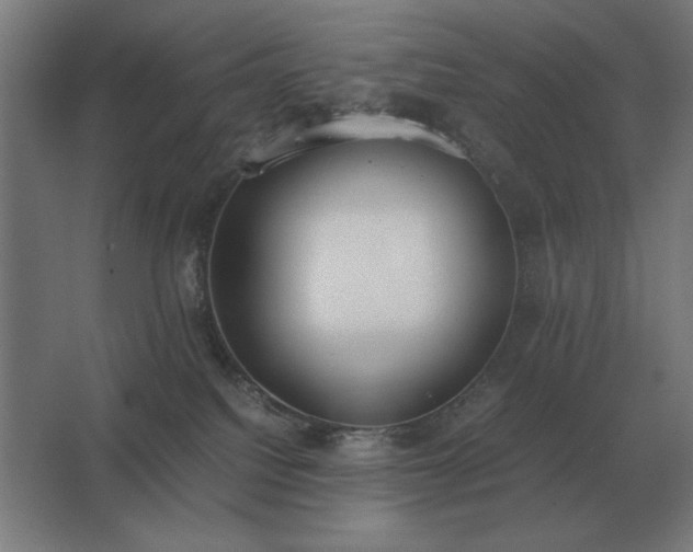 X0000062670088200512281750