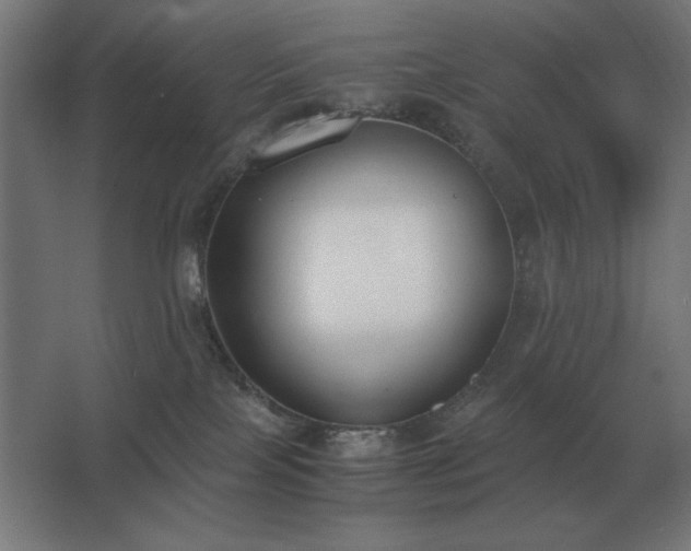 X0000062670089200512281750