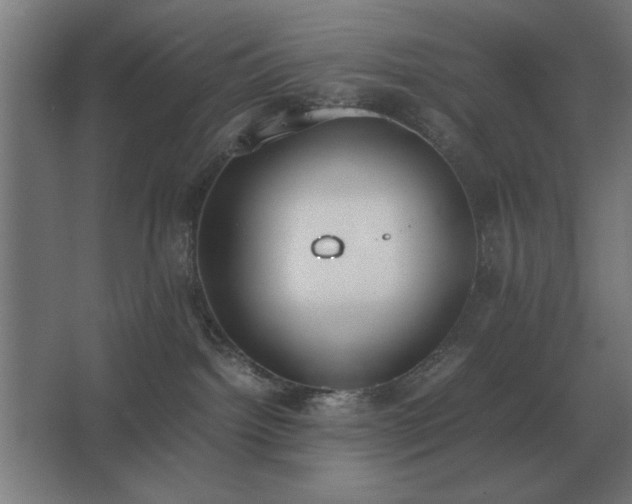 X0000062670092200512281750