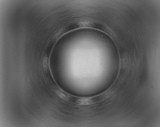 X0000062670093200512281750