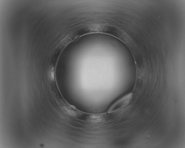 X0000062670095200512281750