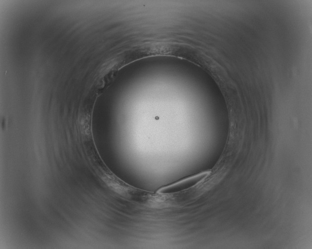 X0000062670096200512281750