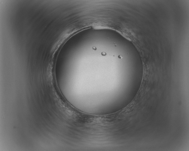 X0000062670098200512281750