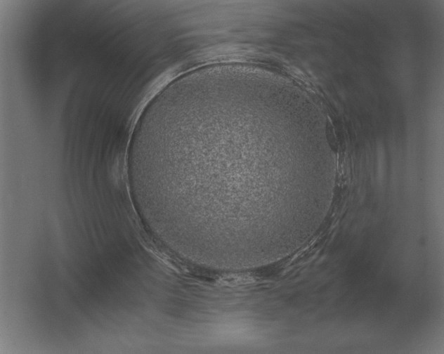 X0000062670099200512281750