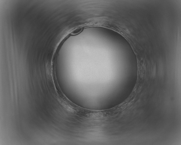 X0000062670100200512281750