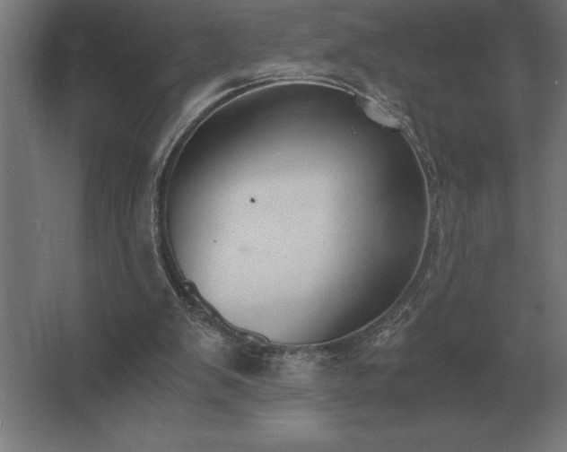 X0000062670103200512281749