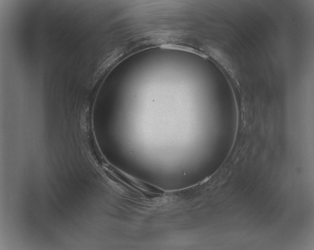 X0000062670105200512281749