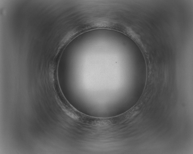 X0000062670106200512281749