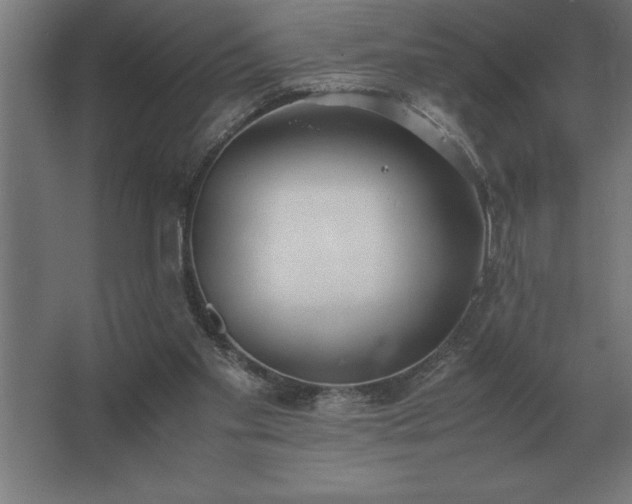 X0000062670109200512281749