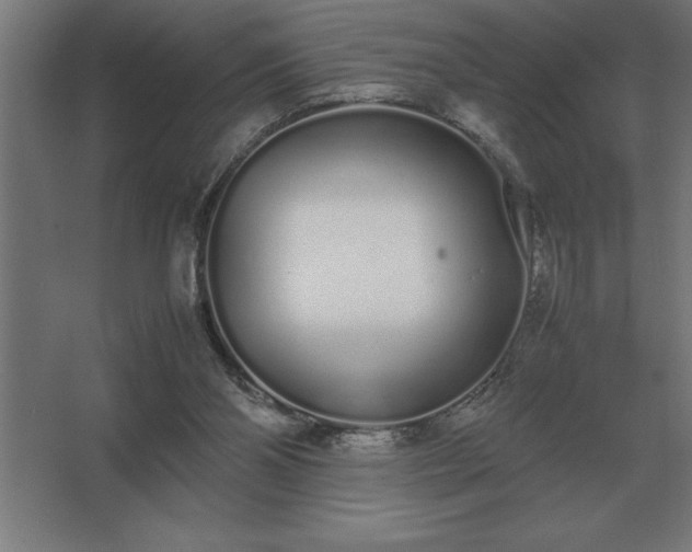 X0000062670110200512281749