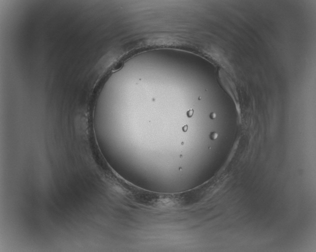 X0000062670111200512281749