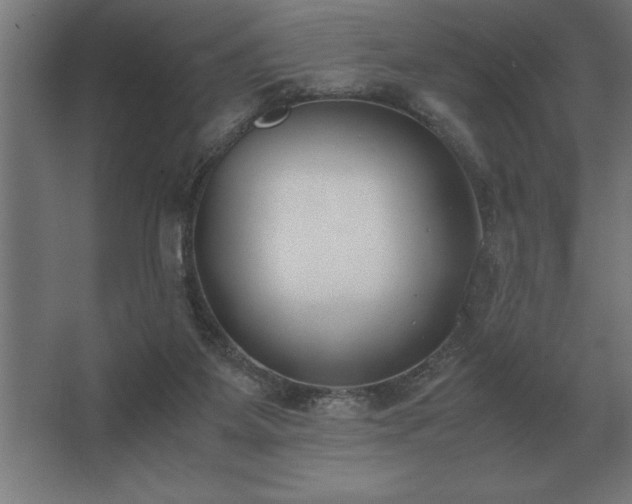 X0000062670115200512281749