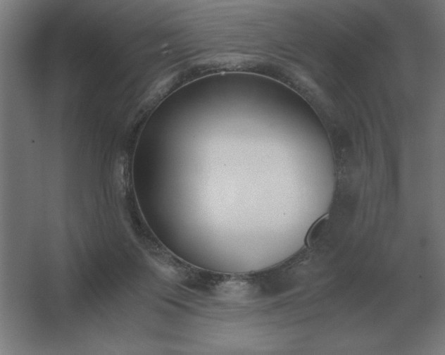 X0000062670119200512281749