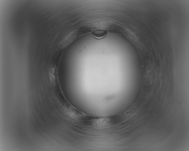 X0000062670122200512281749