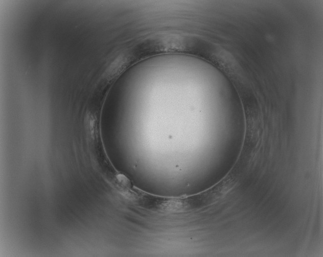 X0000062670123200512281749