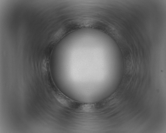 X0000062670126200512281749