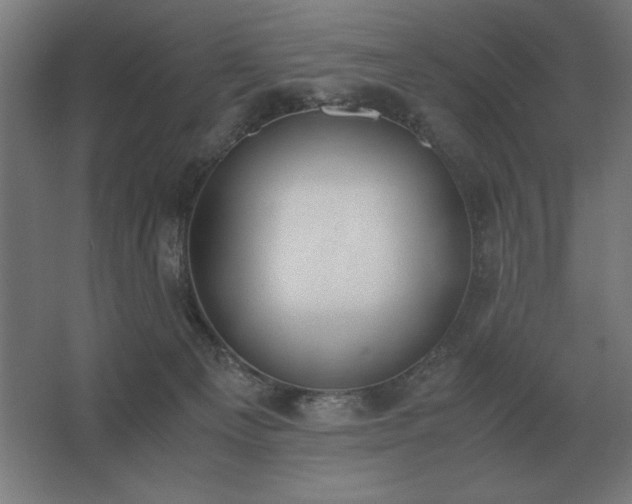 X0000062670129200512281749