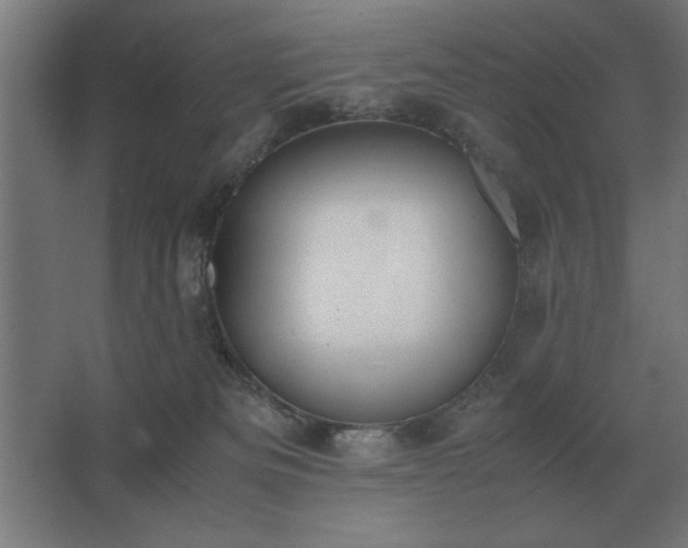 X0000062670133200512281749