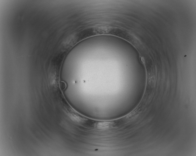 X0000062670134200512281749