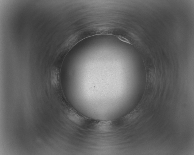 X0000062670138200512281749