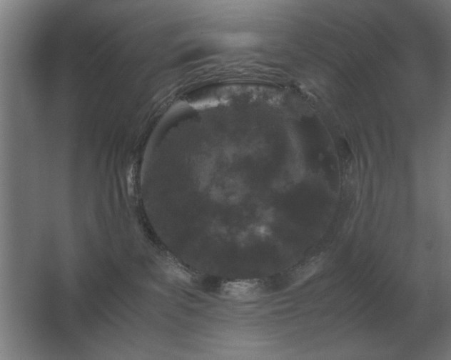 X0000062670139200512281749