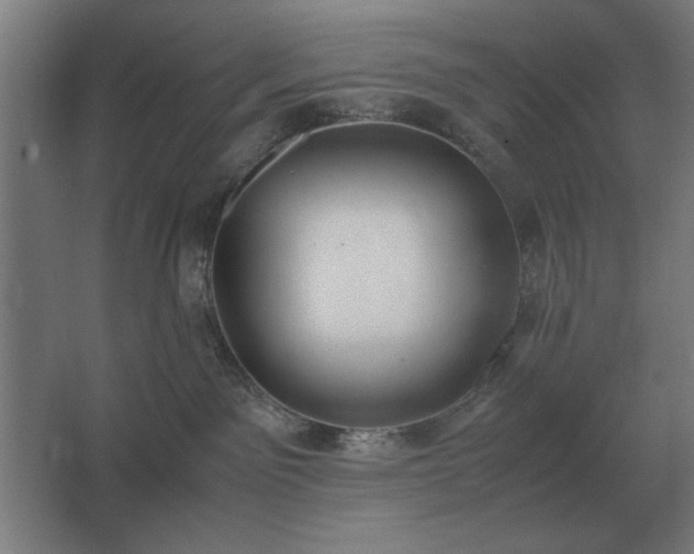 X0000062670141200512281749