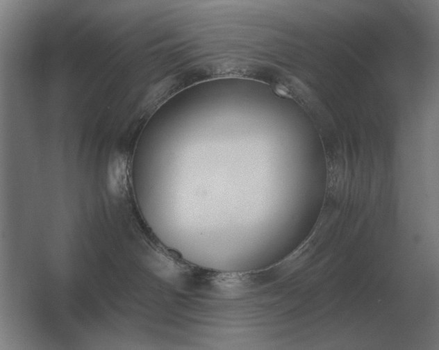 X0000062670142200512281749