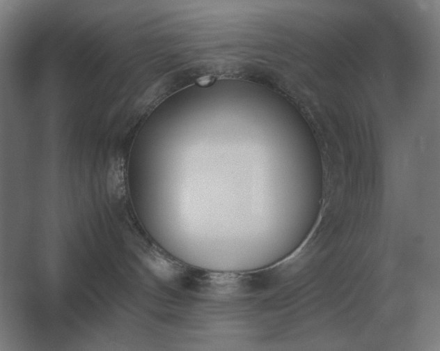 X0000062670144200512281749