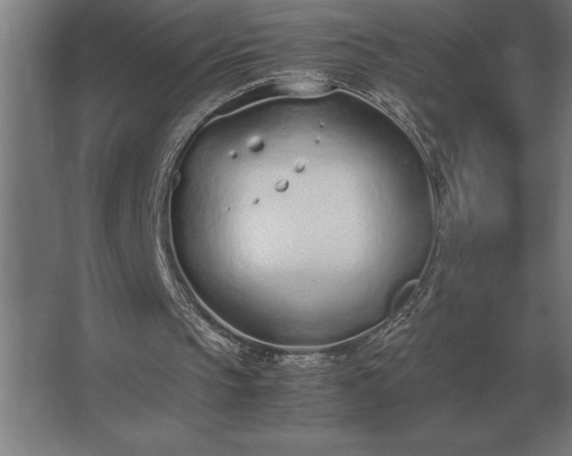 X0000062670145200512281748