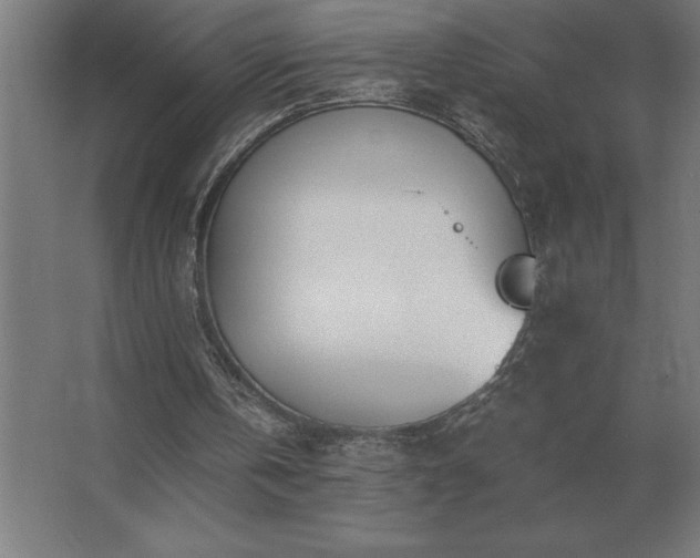 X0000062670146200512281748