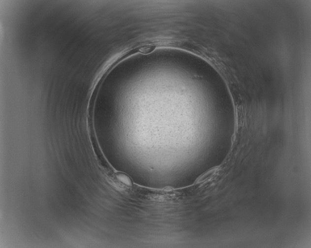 X0000062670147200512281748