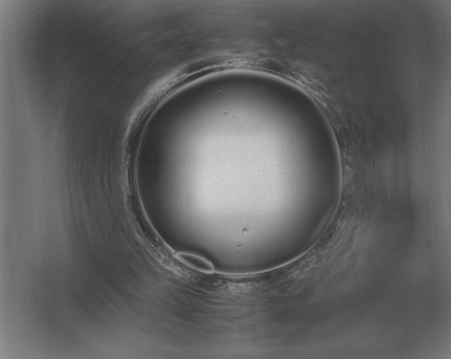 X0000062670149200512281748